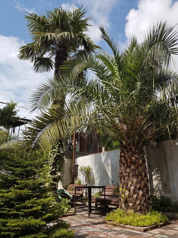 Guesthouse 97 In Batumi باتومي المظهر الخارجي الصورة